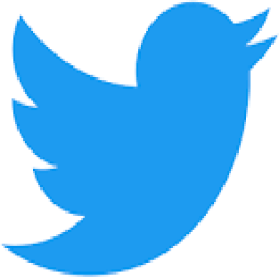 Twitter Hesapları Çerezli  ve Mail Onaylı Teslimat Kategorisi